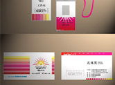 企業(yè)VI設(shè)計項目名片設(shè)計